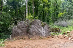 44 Deer Trl Dr, Burnsville, NC 28714 - Photo 26