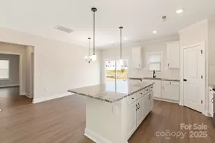 144 Jacobs Hl Pl, Troutman, NC 28166 - Photo 12