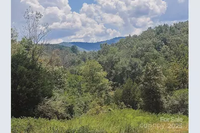 415 Reel Hollow Road, Marion, NC 28752 - Photo 42