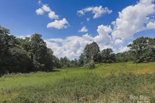 415 Reel Hollow Rd, Marion, NC 28752 - Photo 48