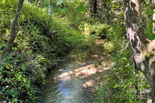 415 Reel Hollow Rd, Marion, NC 28752 - Photo 36