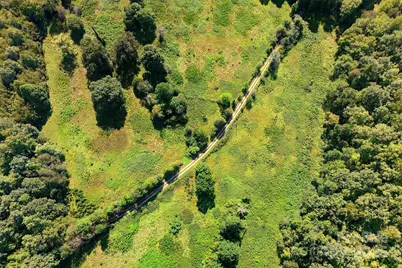 415 Reel Hollow Road, Marion, NC 28752 - Photo 30