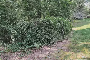 415 Reel Hollow Rd, Marion, NC 28752 - Photo 46