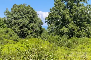 415 Reel Hollow Rd, Marion, NC 28752 - Photo 38