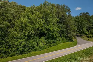 Lot 160 Coxe Rd, Rutherfordton, NC 28139 - Photo 1