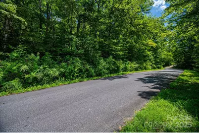 Lot 160 Coxe Road, Rutherfordton, NC 28139 - Photo 2