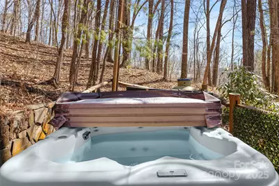 201 Liberty Road, Waynesville, NC 28785 - Photo 16