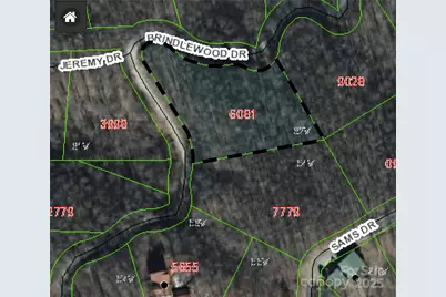 000 Brindlewood Drive #62V, Nebo, NC 28761 - Photo 2