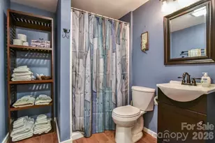 48 Buck Ridge Rd, Fairview, NC 28730 - Photo 20