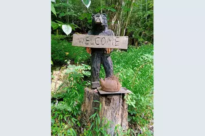 48 Buck Ridge Road, Fairview, NC 28730 - Photo 38