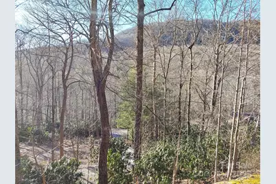 48 Buck Ridge Road, Fairview, NC 28730 - Photo 30