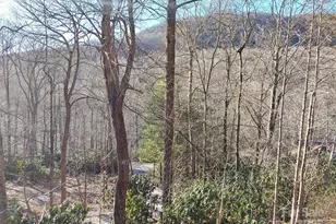 48 Buck Ridge Rd, Fairview, NC 28730 - Photo 30