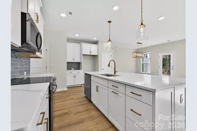 237 Alluvium Lane, Waxhaw, NC 28173 - Photo 8