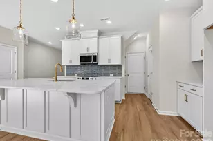 237 Alluvium Ln, Waxhaw, NC 28173 - Photo 6