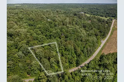 Lot 163 Coxe Road, Rutherfordton, NC 28139 - Photo 2