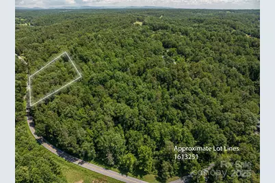 Lot 163 Coxe Road, Rutherfordton, NC 28139 - Photo 6