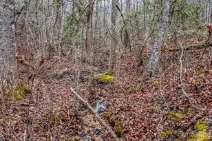 1217 Moore Rd, Tryon, NC 28782 - Photo 34