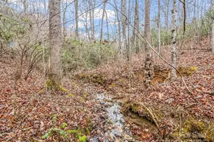 1217 Moore Rd, Tryon, NC 28782 - Photo 32