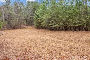 1217 Moore Rd, Tryon, NC 28782 - Photo 24