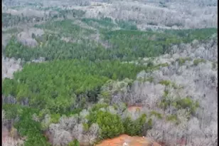 1217 Moore Rd, Tryon, NC 28782 - Photo 8