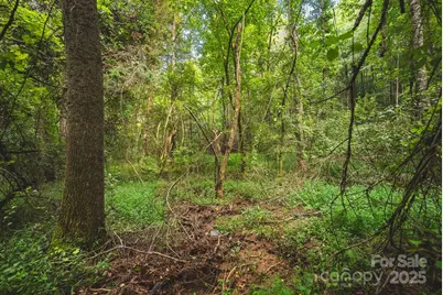 00 Johnson Ridge Road, Elkin, NC 28621 - Photo 12