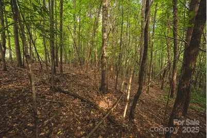 00 Johnson Ridge Road, Elkin, NC 28621 - Photo 8