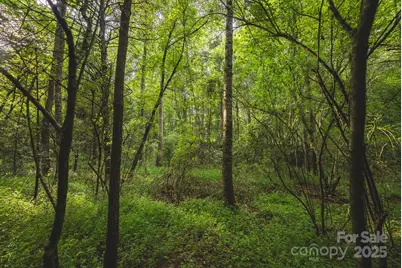 00 Johnson Ridge Road, Elkin, NC 28621 - Photo 18