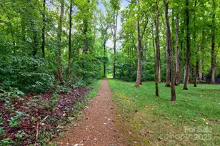 4713 Hanging Ivy Dr, Charlotte, NC 28215 - Photo 44