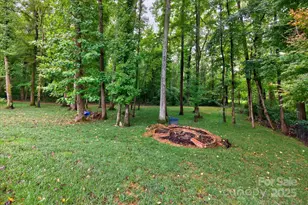 4713 Hanging Ivy Dr, Charlotte, NC 28215 - Photo 42