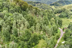 0000 Bee Log Rd, Burnsville, NC 28714 - Photo 4