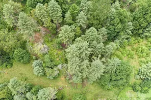 0000 Bee Log Rd, Burnsville, NC 28714 - Photo 8