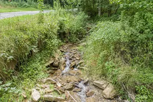 0000 Bee Log Rd, Burnsville, NC 28714 - Photo 1