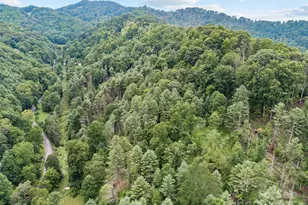 0000 Bee Log Rd, Burnsville, NC 28714 - Photo 6