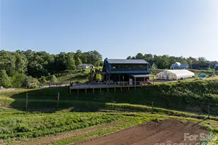 7 Bee Balm Wy, Asheville, NC 28804 - Photo 46