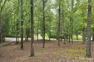 126 Sunset Dr, Chester, SC 29706 - Photo 38