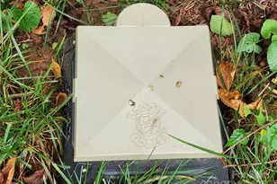 71 5th Ave, Asheville, NC 28806 - Photo 28