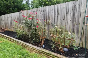 71 5th Ave, Asheville, NC 28806 - Photo 26