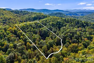 206 Willow Ln, Rosman, NC 28772 - Photo 32