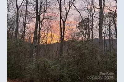 37 Wood Robin Lane, Black Mountain, NC 28711 - Photo 40