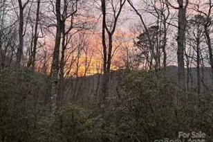 37 Wood Robin Ln, Black Mountain, NC 28711 - Photo 40