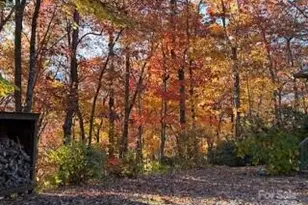 37 Wood Robin Ln, Black Mountain, NC 28711 - Photo 38