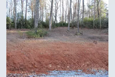 000 Levi Road, Columbus, NC 28722 - Photo 22