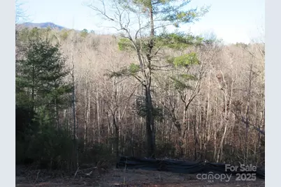 000 Levi Road, Columbus, NC 28722 - Photo 36