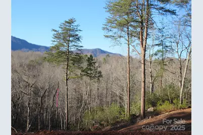 000 Levi Road, Columbus, NC 28722 - Photo 16