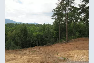 000 Levi Road, Columbus, NC 28722 - Photo 48