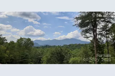 000 Levi Road, Columbus, NC 28722 - Photo 8