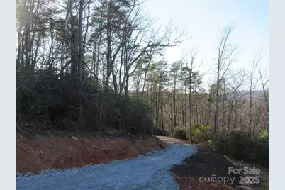 000 Levi Road, Columbus, NC 28722 - Photo 26