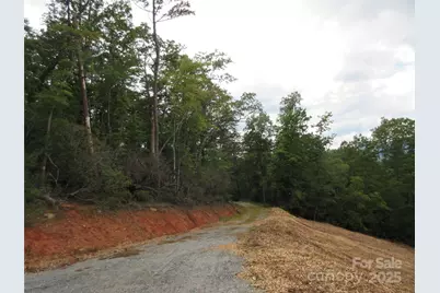000 Levi Road, Columbus, NC 28722 - Photo 44