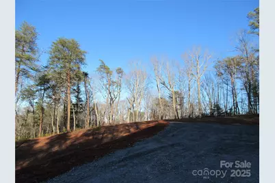 000 Levi Road, Columbus, NC 28722 - Photo 38