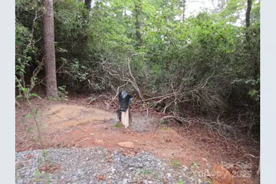 000 Levi Road, Columbus, NC 28722 - Photo 32